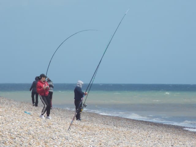 Shore anglers fishing on the open shingle coast at Dungeness